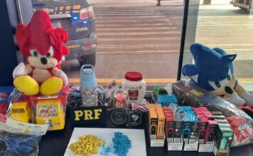 PRF intercepta jovem transportando grande quantidade de ecstasy em ursinhos de pelúcia