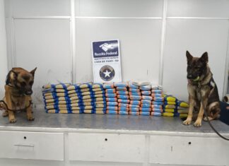 100 kg de “supermaconha” são retirados de remessa de açaí no Aeroporto Internacional Eduardo Gomes