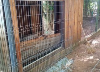 Homem invade zoológico mata veado e fere outros dois animais