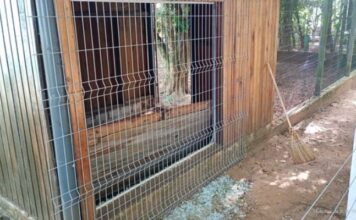 Homem invade zoológico mata veado e fere outros dois animais