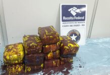 100 kg de skunk são encontrados em caixas de açaí durante fiscalização no aeroporto de Manaus