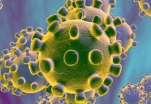 Variante BA.3.2 da Covid-19 cresce nos EUA e é detectada em diversos países