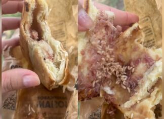 VÍDEO: Estudante acusa padaria de vender alimento com “tapuru” e caso repercute nas redes