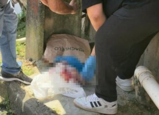 Bebê recém-nascida é achada sem vida em sacola no bairro Nova Cidade