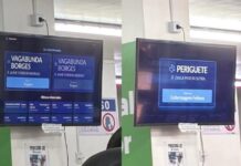 Painel de hospital veterinário no Amazonas viraliza com nomes curiosos de pets