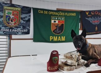 Faro do cão da PM leva à apreensão de seis tabletes de skunk no interior do AM
