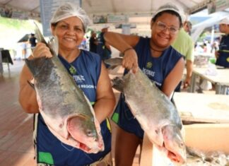 Feirão do Pescado vende 37 toneladas de peixe na Semana Santa em Manaus