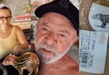 Janja defende legalidade da paca; Planalto não informa registro nem origem