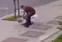 Idosa de 85 anos é empurrada ao chão por adolescente em roubo