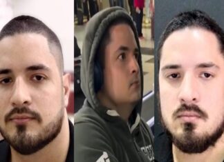 Ação conjunta prende homem no aeroporto de Manaus após caso de atropelamento de animais no Parque 10