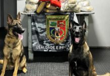 Operação apreende mais de noventa quilos de drogas no Rio Solimões e prende dois suspeitos no AM