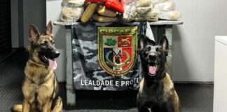 Operação apreende mais de noventa quilos de drogas no Rio Solimões e prende dois suspeitos no AM