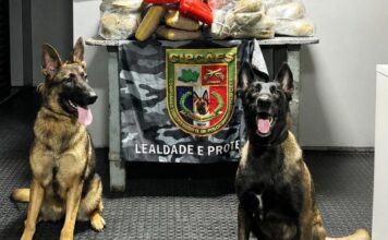 Operação apreende mais de noventa quilos de drogas no Rio Solimões e prende dois suspeitos no AM