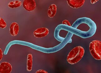 África entra em alerta após Organização Mundial da Saúde classificar avanço do Ebola como emergência global
