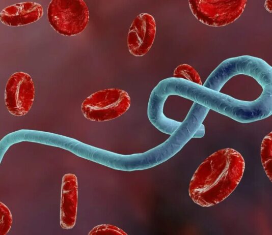África entra em alerta após Organização Mundial da Saúde classificar avanço do Ebola como emergência global