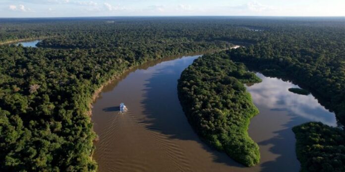 Ipaam_Reducao-desmatamento-Amazonas-em-2025_MapBiomas_Credito-da-foto-1_Reproducao-Internet-28-05-2026-768x384