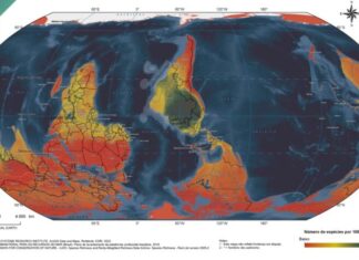 IBGE lança projeção que centraliza o Brasil e rompe padrão tradicional de mapas