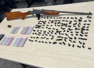 PM apreende arma e entorpecentes após fuga de suspeitos na Colônia Terra Nova