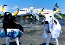 Festival de Parintins terá mais de 1.100 operações aéreas previstas em 2026
