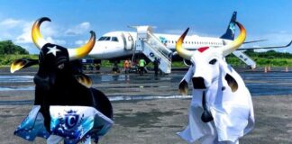 Festival de Parintins terá mais de 1.100 operações aéreas previstas em 2026