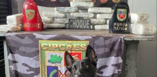 Polícia intercepta mais de R$ 1,1 milhão em drogas durante ação fluvial