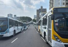 Greve dos rodoviários: TRT-11 fixa operação mínima do transporte coletivo na capital amazonense