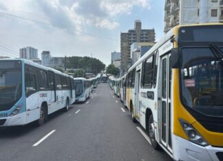 Greve dos rodoviários: TRT-11 fixa operação mínima do transporte coletivo na capital amazonense