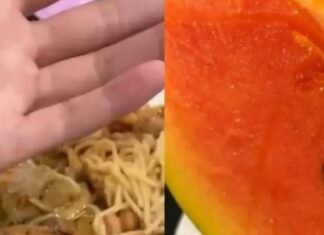 Alunos relatam presença de inseto e objeto metálico em comida do RU da Ufam, em Manaus