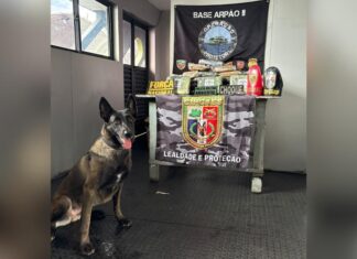 Mais de R$ 2,1 milhões em skunk são apreendidos pela polícia em barco no interior do AM