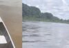 Ribeirinhos encontram cadáver com marcas de tiros nas águas do Solimões
