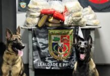 Operação da Base Arpão apreende mais de 90 kg de entorpecentes em embarcação