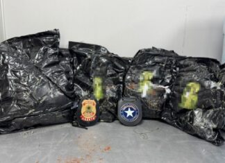 Receita e PF interceptam 3,5 kg de cocaína em encomenda no Aeroporto de Manaus