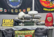Mais de 11 kg de maconha são apreendidos em embarcação e mulher acaba presa no AM