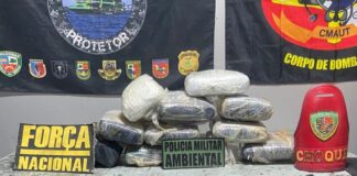 Mais de 11 kg de maconha são apreendidos em embarcação e mulher acaba presa no AM