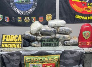 Mais de 11 kg de maconha são apreendidos em embarcação e mulher acaba presa no AM