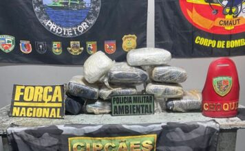 Mais de 11 kg de maconha são apreendidos em embarcação e mulher acaba presa no AM