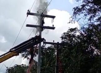 Homem sofre descarga elétrica enquanto trabalhava em poste na BR-174, no interior do AM