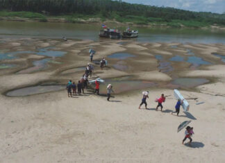 SGB alerta para possibilidade de níveis críticos no Rio Negro em nova seca na Amazônia