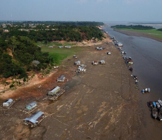 Com avanço do El Niño, Amazonas entra em emergência climática por 180 dias