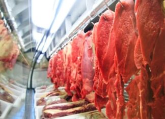 União Europeia barra importação de produtos de origem animal do Brasil