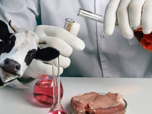Carne de laboratório: conheça a técnica desenvolvida pela Embrapa