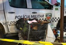 Corpo com sinais de execução é localizado em carrinho de supermercado na zona Oeste de Manaus