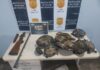 PM prende suspeito transportando quelônios e arma de fogo durante abordagem no interior do AM