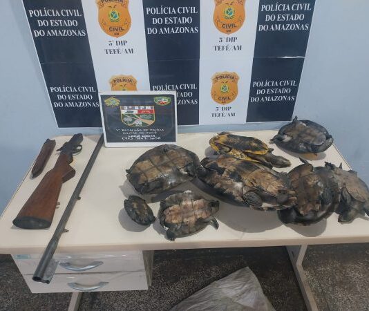 PM prende suspeito transportando quelônios e arma de fogo durante abordagem no interior do AM