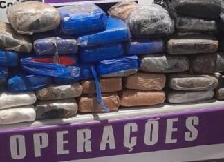 Operação da PM prende suspeita e apreende carga de skunk em ferry boat no Amazonas