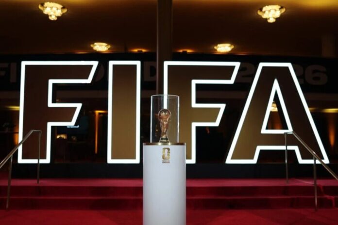 image-11.jpg