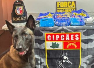 Droga é encontrada dentro de salgadinho durante fiscalização em embarcação no rio em Coari