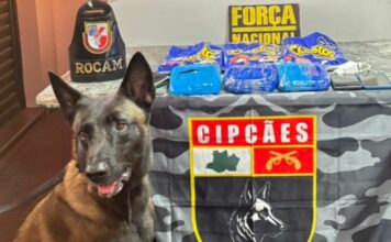 Droga é encontrada dentro de salgadinho durante fiscalização em embarcação no rio em Coari