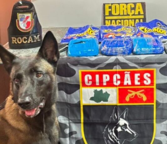 Droga é encontrada dentro de salgadinho durante fiscalização em embarcação no rio em Coari
