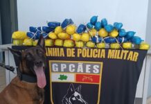 Operação no Amazonas apreende mais de 21 kg de cocaína e causa prejuízo ao tráfico